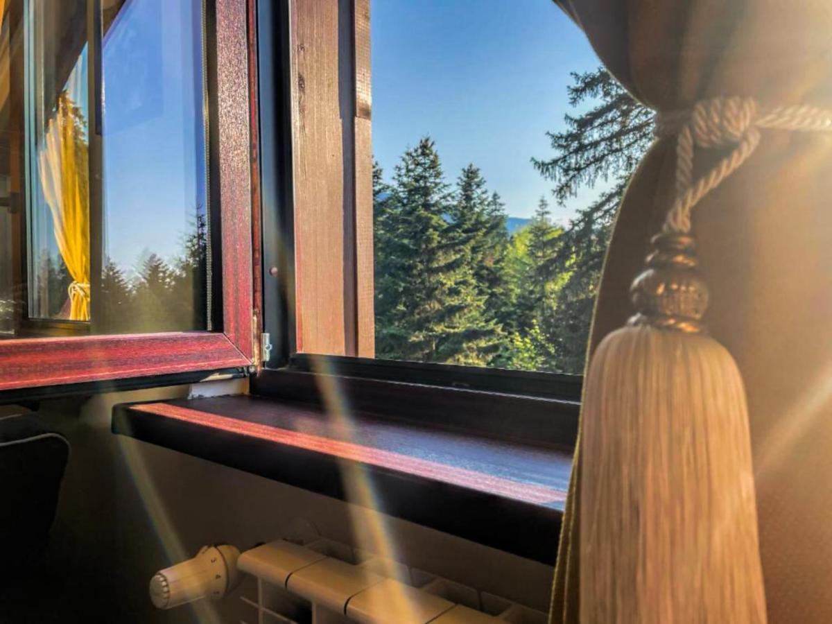 Borovets Dream Studio Bagian luar foto