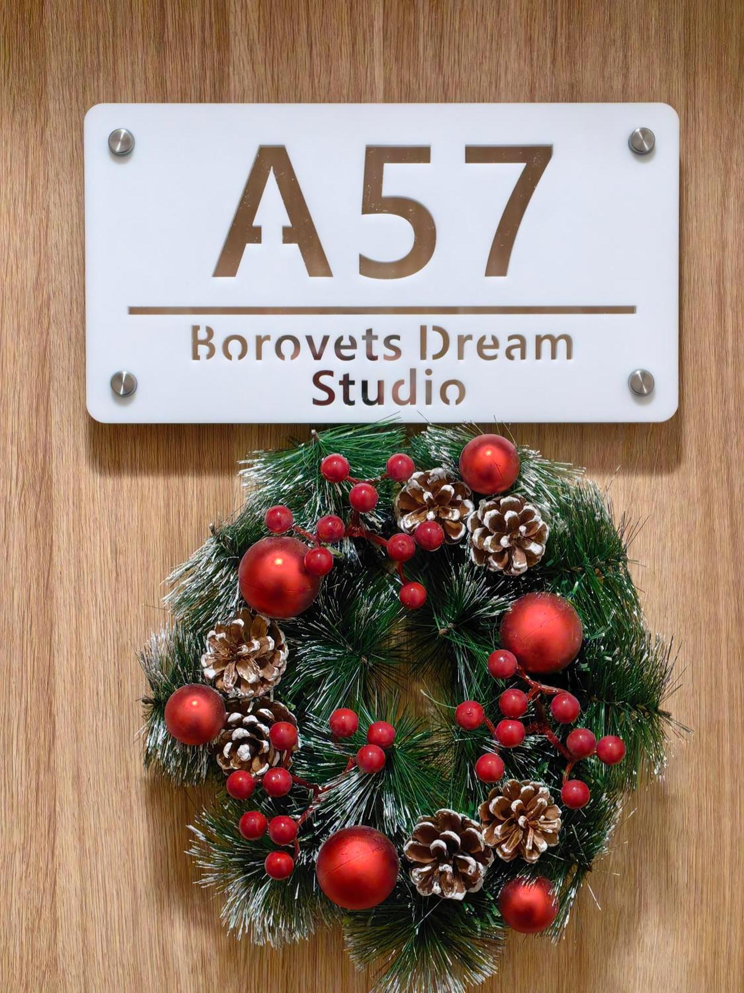 Borovets Dream Studio Bagian luar foto